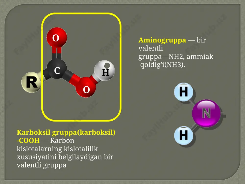 leysin h2n-ch-cooh l ch2-ch(ch3)2 izoleysin h2n-ch-cooh l ch2-(ch3)2-nh2 serin h2n-ch-cooh l ch2oh bunda radikalda turli xil funksional gruppalar (-sh,-oh,-cooh, nh2) va xalqalar bo’lishi mumkin. oqsillarning gidrolizi aslida polipeptid bog’lanishlarning gidrolizidan iborat. oqsillarning hazm bo’lishi ham ana shunga asoslangan. ovqat hazm bo’lishida oqsil molekulalari aminokislotalarga qadar gidrorizlanadi, bu kislotalar suvli muhitda yaxshi eriganligi sababli qonga o’tadi va organizmning barcha hujayra hamda to’qimalariga yetib boradi. bu erda aminokislotalarning ehg ko’p qismi turli a’zo va to’qimalarda oqsillar sintez bo’lishiga, bir qismi- gormonlar, fermentlar va boshqa biologik muhim moddalar sintez bolishiga sarflanadi, qolgani esa energiya materiali sifatida xizmat qiladi. hozirgi vaqtda oqsil molekulasining birlamchi, ikkilamchi, uchlamchi strukturalari bir-biridan farq qiladi. birlamchi strukturasi. ikkilamchi struktura. oqsilning birlamchi strukturasi: aminokislotalarning ma’lum izchillikda joylashgan polipeptid zanjiri oqsilning birlamchi strukturasi deb ataladi. * oqsilning ikkilamchi tuzilishi : polipeptid zanjiridagi peptid bog’lari hosil qilgan vodorod bog’lari ta’sirida murakkab spiralsimon fazoviy struktura oqsilning ikkilamchi strukturasi deb ataladi. oqsilning uchlamchi tuzilishi …