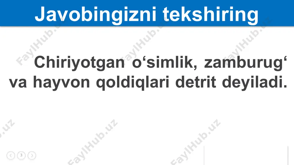 oziq zanjiri va oziq to‘rini tuzish - Page 3