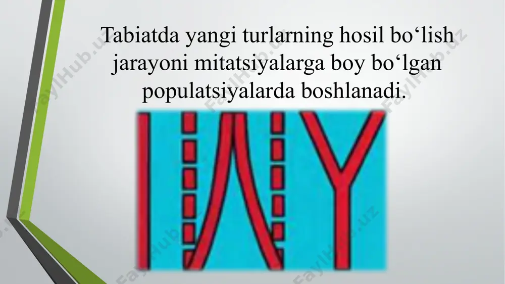 f turlarning e10, f10 turlariga aylanganligi bunga misol bo‘la oladi. yangi turning paydo bo‘lishi ajdod turning yagona, o‘zaro bog‘liq bo‘lgan genlar, xromosomalar majmuasini buzib, yangi genofondini vujudga keltirish orqali amalga oshadi. tur paydo bo‘lishining tiplari ikki xil yo‘nalishda kechadi allopatrik yoki geograﬁ k tur paydo bo‘lishi. simpatrik yoki ekologik tur paydo bo‘lishi. tur paydo bo‘lishining birinchi turida geograﬁk to‘siqlarning paydo bo‘lishi, ikkin chi turida reproduktiv to‘siqlarning paydo bo‘lishi populatsiyalar o‘rtasida genlar almashinuvining to‘xtashiga sabab bo‘ladi. a – allopatrik tur paydo bo‘lishi; b – simpatrik tur paydo bo‘lishi. *allopatrik yo‘nalish yoki geograﬁ k alohidalanish bilan tur paydo bo‘lishi. tur areali kengayganda yoki yirik geologik jarayonlar: qit’alarning surilishi, tog‘ hosil bo‘lishi, suv to‘siqlari natijasida bir nechta alohidalashgan populatsiyalar paydo bo‘ladi. populatsiyalardagi irsiy o‘zgarishlar, yashash uchun kurash va tabiiy tanlanish natijasida asta-sekin populatsiyalardagi gen tarkibida farq paydo bo‘la boshlaydi. bu jarayon yangi tur hosil bo‘lishiga olib keladi. qirg‘ovullarning xiva yettisoy murg‘ob kavkaz manjur …