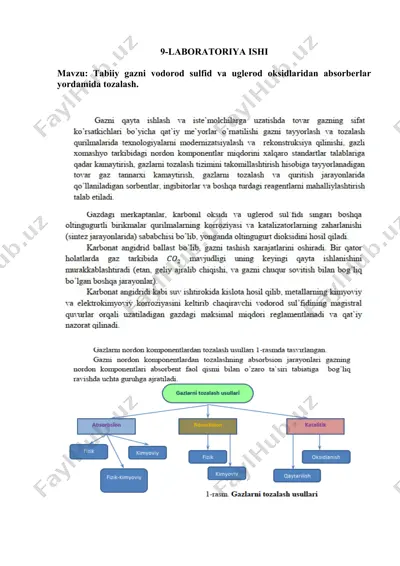laboratoriya ishi — DOCX