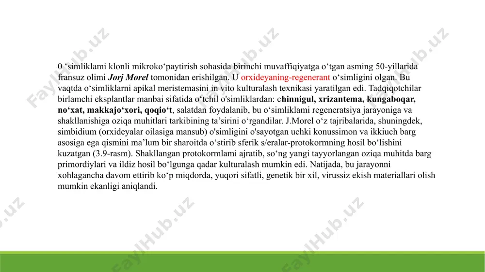 al va uchki meristemalardan, sikor salatini barg plastinkalari segmentlaridan; petuniya + ildiz segmentlaridan, gloksiniya, binafsha gullarini barg plastinkasi segmentlaridan alohida ajratilgan, yetilgan va yetilmagan murtaklardan klonli mikroko‘paytirishda foydalaniladi. bu usul mualliflari j.morel va s.martinlarning taxminicha, kasallangan o'simliklarda viruslar tarqalishi bo'yicha tez o'sayotgan yosh organlardan orqada qoladi, ayniqsa, differensiyallanmagan yosh to'qimalarda virusning miqdori yo'q darajada bo'ladi. bu usul asosiga qo'yilgan nazariy konsepsiya sababi keyingi vaqtlarda aniqlana boshlandi. amaliyotda qo'llaniladigan holatida strukturaviy asos bo'lib, o'simlik o'sish nuqtasi tuzilishining spetsifikasi xizmat qiladi; uning apikal meristema deb ataluvchi distal qismi turli o'simliklarda turlicha o'lchamga ega bo'lib, o'rtacha 200 mkm diametrga va 20-150 mkm uzunlikka ega bo'ladi. differensiyallanayotgan meristemani hujayralaming pastroq qatlamida o'tkazuvchi sistema bog'lamlarini paydo qiluvchi prokambiy hosil qiladi. ma’lumki, klonli mikroko'paytirishdagi muvaffaqiyat meristema eksplantini o'lchamiga bog'liq, barg asoslari va poya to'qimalari qancha katta bo'lsa, morfogenez jarayoni shuncha yengil kechadi va normal probirka o'simligi hosil bo'lishi bilan tugaydi. shu bilan birgalikda, virus zarralaridan holi …