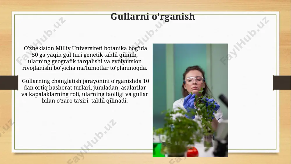 gullarni oʻrganish - Page 3