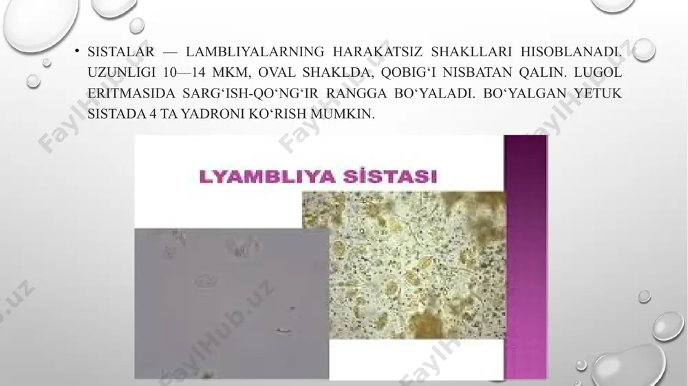 lyambiliya patalogiyasi - Page 3