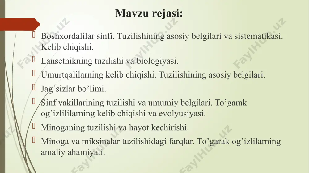 hi orqa aortasi uyqu arteriyasi; 4-kyuverov oqimi : 5-qorin aortasi; 6-oldingi kardinal vena;7-olib keluvchi o’pka venasi; 8-olib keluvchi; 9-jigar qopqa venasi :10-yurak qopchasi;11-ichak osti venasi; 12-keyingi kardinal vena .13-orqa vena: 14-dastlabki orqa vena ovqat hazm qilish sistemasi boshskdetsizlarda, jumladan lansetniklarda ovqat hazm qilish sistemasi kuchsiz diflerensiallangan nay bomib, halqum va ichakdan iborat. halqum devorida ko'plab jabra teshiklari mavjud. tanasining oldingi qismi pastki tomonida 10-12 jutt paypaslagichlar bilan o'ralgan og'iz oldi teshigi bo'lib. u og'izga ochiladi. undan keyin halqumning qorin tomonida endostil deb ataladigan uzun tamoveha joylashgan. lndostil hujayralari shilimshiq ishlab chiqaradi. kiprikchalaming harakati tufayli organik qoldiqlar va mayda organizmlar halqumga tushadi. uziq zarralari endostil ajratib chiqaradigan shilimshiqqa yopishib qoladi va o'rta ichakka o'tib hazm bomadi. o'rta ichakning oldingi tomoniga qarab ketgan o'simtasi jigar funksiyasini bajaradi. anal teshigi qorin bo’limining keyingi qismida joylashgan. shunday qilib. bosh skeletsizlaming hazm qilish sistemasi kam ixtisoslashgan bo'lganidan ular juda sodda usulda oziqlanadi. jabra yoriqlari og’iz …