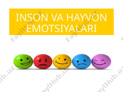insonvahayvonemotsiyalari — PPTX