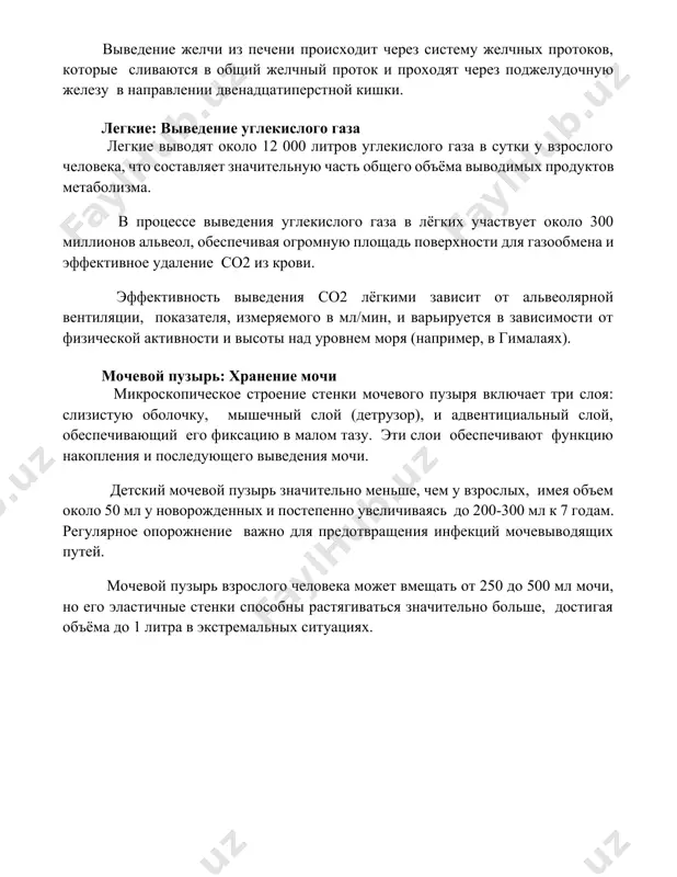 громную площадь поверхности для газообмена и эффективное удаление co2 из крови. эффективность выведения co2 лёгкими зависит от альвеолярной вентиляции, показателя, измеряемого в мл/мин, и варьируется в зависимости от физической активности и высоты над уровнем моря (например, в гималаях). мочевой пузырь: хранение мочи микроскопическое строение стенки мочевого пузыря включает три слоя: слизистую оболочку, мышечный слой (детрузор), и адвентициальный слой, обеспечивающий его фиксацию в малом тазу. эти слои обеспечивают функцию накопления и последующего выведения мочи. детский мочевой пузырь значительно меньше, чем у взрослых, имея объем около 50 мл у новорожденных и постепенно увеличиваясь до 200-300 мл к 7 годам. регулярное опорожнение важно для предотвращения инфекций мочевыводящих путей. мочевой пузырь взрослого человека может вмещать от 250 до 500 мл мочи, но его эластичные стенки способны растягиваться значительно больше, достигая объёма до 1 литра в экстремальных ситуациях. 📌заключение выделительные органы разнообразны по строению и функциям, но все они выполняют жизненно важную роль в поддержании …