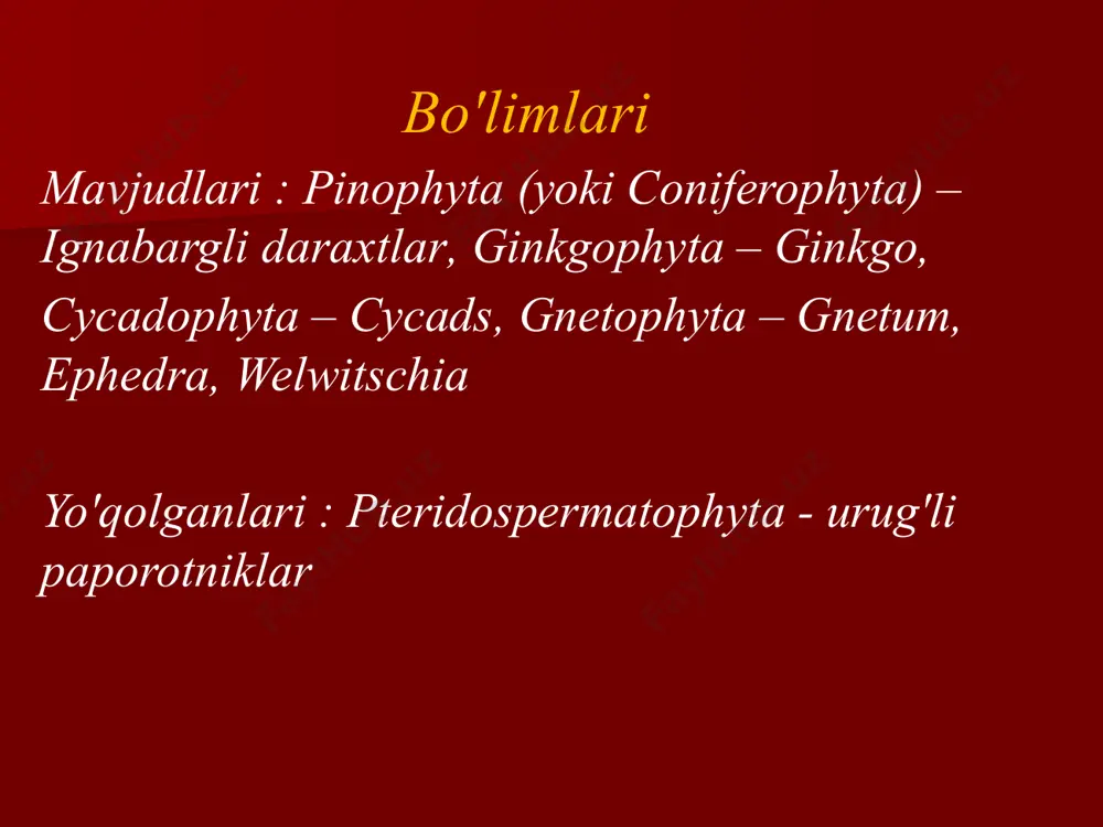 ochiq urug’lilar bo’limi 2 - Page 4