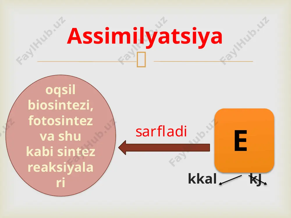 tirik organizmlarning xususiyatlari - Page 4