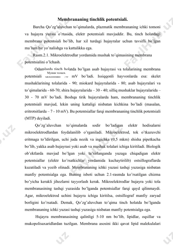 iy zaryad borligini ko’rsatadi. demak, qo’zg’aluvchan to’qima tinch holatda bo’lganda membrananing ichki yuzasi tashqi yuzasiga nisbatan manfiy potentsialga ega. hujayra membranasining qalinligi 5-10 nm bo’lib, lipidlar, oqsillar va mukopolisaxaridlardan tuzilgan. membrana asosini ikki qavat lipid malekulalari tashkil qiladi. lipid molekulalari orasida o’rnashgan oqsil molekulalari suv va ionlarni o’tkazuvchi kanallarni hamda ion nasoslarini shakllantiradi. lipid qavatning tashqi yuzasida joylashgan mukopolisaxaridlar - retseptorlar (muayyan moddalarni "tanib", ular bilan birikishga ixtisoslashgan molekulalar) rolini bajaradi. hujayradagi to’xtovsiz yangilanish jarayonida membranalarning ba’zi bir xossalari o’zgarishi mumkin. membrana-ionli nazariyaga asosan tinchlik potentsiali ikkita omil: 1- hujayraning ichki tarkibi va hujayra tashqarisidagi suyuqlik o’rtasida ionlarning asimmetrik tarqalganligi bilan; 2- membrananing tanlab o’tkazish qobiliyati bilan (unda turli ionlarni o’tkazish uchun moslashgan kanallarning (10-6 kv. mm yuzada 500 donagacha) mavjudligi bilan belgilanadi. hujayra membranasi anchagina yuqori elektr qarshilikka va sig’imga ega bo’lib, elektr qarshiligi ion kanallarining ochiq yoki yopiqligiga bog’liq. yog’da eruvchi moddalar, membrananing lipidli asosida erib, undan osonlik …