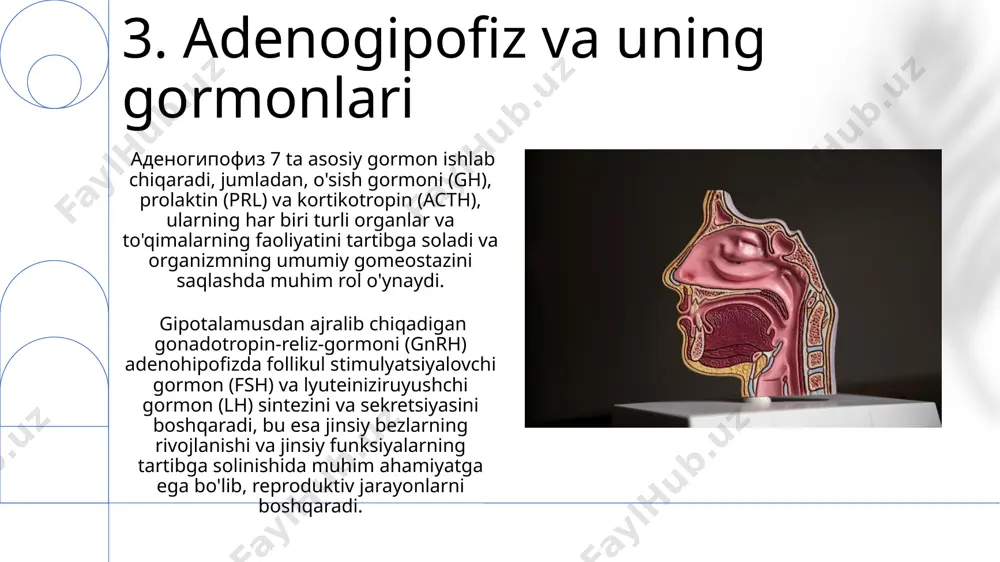 hlab chiqaruvchi hujayralarga ta'sir qilib, stressga javob va qon bosimini tartibga solishda ishtirok etadi. e'tiboringiz uchun rahmat @taqdimot_robot image1.png image2.jpg image3.jpg image4.jpg image5.jpg image6.jpg image7.jpg image8.jpg image9.jpg image10.jpg image11.jpg image12.jpg image13.jpg image14.jpg image15.jpg image16.jpg image17.jpg