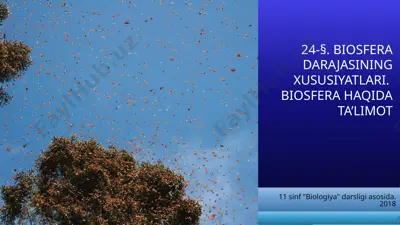 biosfera darajasining xususiyatlari. biosfera haqida ta’limot. 11 - sinf — PPTX