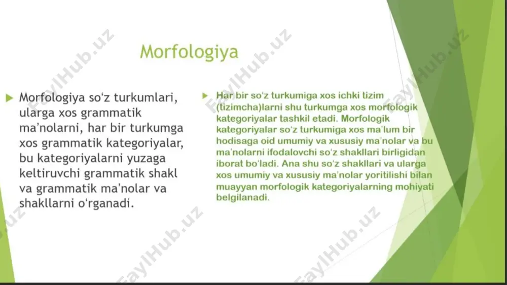 morfologik tahlil ppt - Page 4