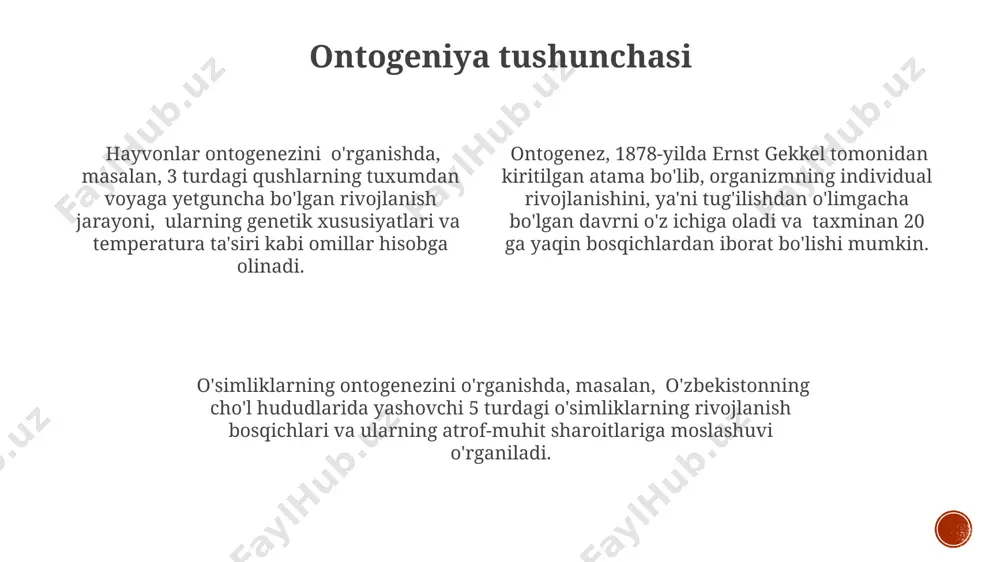 filogenez va otnogenez haqida tushuncha - Page 4