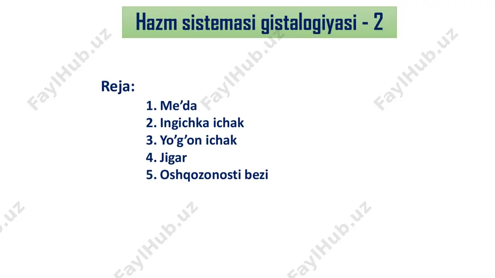 rcha hujayralar ekzokrinotsitlar (skeretor hujayralar)dir. ular me’daning ichki yuzasini qoplovchi shilliqni ajratadi.shuning uchun ko’pincha yuza mukotsitlari deb nomlanadi b) yadrosi va golji apparati bazal tomonda, apikal qismidagi mutsinogen (shilliqsimon) granulalar hosil qilgan “shapka” ostida joylashadi c) apikal yuzada katta mikrovorsinkalar va ularning yuzasidagi glikokaliks va ajralgan shilliq mavjud d) yon tomondan hujayralar interdigitatsiyalar hosil qiladi e) ajralgan shilliq qalin, yopishqoq, gelsimon qobiq shakllantiradi va epiteliy yuzasiga yopishib turadi. u chuqurroq komponentlarini ximus tufayli abraziyasidan saqlaydi f) qoplovchi yuza me’da epiteliysi sbsortiv funksiyani bajarmaydi.ammo suv,tuzlar va lipidda eruvchan dorilar so’rilishi mumkin.masalan: alkagol va aspirin yoki nosteroid yallig’lanishga qarshi dorilar(nyqd) epiteliyni zararlash orqali lamina propriaga kiradi.aspirinning kichik dozasi ham me’da mukozasi tomonidan prostaglandinlar ishlab chiqarilishini ta’minlaydi 2. shilliq qavat xususiy plastinkasi - stbt a) me’da bezlari: − biriktiruvchi to’qima shakllantirgan qavatlar orasida ko’plab joylashadi − oddiy naysimon bezlar − tarkibi – ekzova endikrinotsitlar − chiqaruv naylari – bezning kalta bo’yni bo’lib,chuqurchalar tubiga …