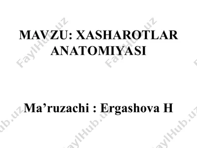 xasharotlar anatomiyasi — PPT