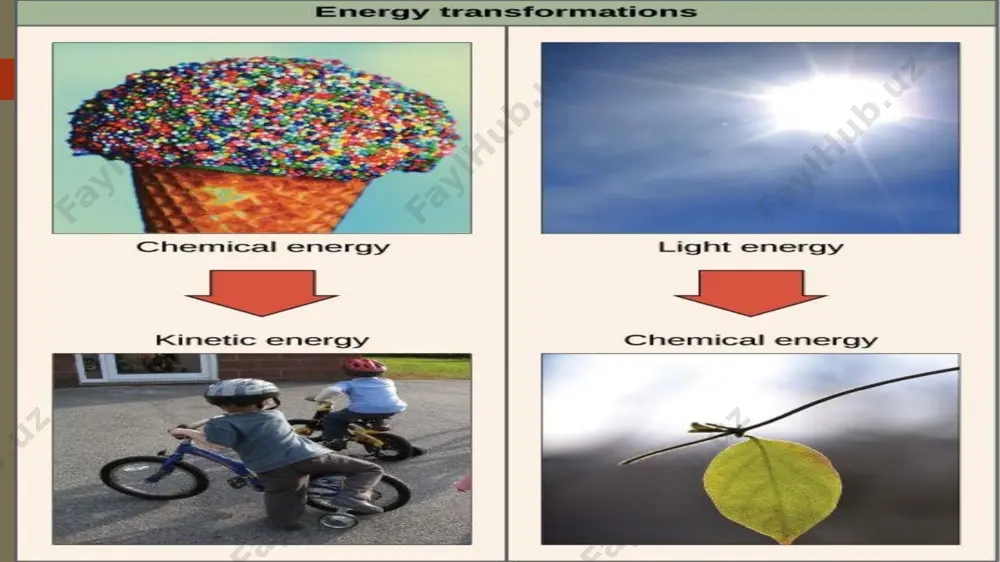 uqtayi nazaridan taʼriflashimiz mumkin: har bir energiya uzatish koinot entropiyasini oshiradi va ish bajarish uchun yaroqli boʻlgan foydali energiyani kamaytiradi (yoki ekstremal holatlarda umumiy entropiyani oʻzgarmagan holda qoldiradi). boshqacha aytganda, kimyoviy reaksiya yoki oʻzaro bogʻliq reaksiyalar ketma-ketligi kabi har qanday jarayon koinotning umumiy entropiyasini oshiradigan yoʻnalishda davom etadi. ikkinchi qonunning aql bovar qilmas oqibatlari haqida bilish uchun bu yerni bosing! xulosa qilsak, termodinamikaning birinchi qonuni jarayonlar orasidagi energiya saqlanishi toʻgʻrisida boʻlsa, termodinamikaning ikkinchi qonuni jarayonlarning past entropiyadan yuqori entropiya tomon (butun koinotda) yoʻnalganligi haqida gapiradi. biologik tizimlarda entropiya termodinamikaning ikkinchi qonuni oqibatlaridan biri shuki, jarayon sodir boʻlishi uchun u koinot entropiyasini oshirishi kerak. oʻzimiz kabi boshqa tirik organizmlar haqida oʻylaganimizda bizda bir qancha savollar uygʻonishi mumkin. nahotki, biz moddalarning juda yaxshi tartibga ega toʻplami emasmiz? tanamizdagi har bir hujayra oʻz ichki tartibiga ega; hujayralar toʻqimalarni va toʻqimalar organlarni tashkil qiladi; butun tanamiz bizni tirik ushlab turadigan transport, almashinuv va ayirboshlashdan …