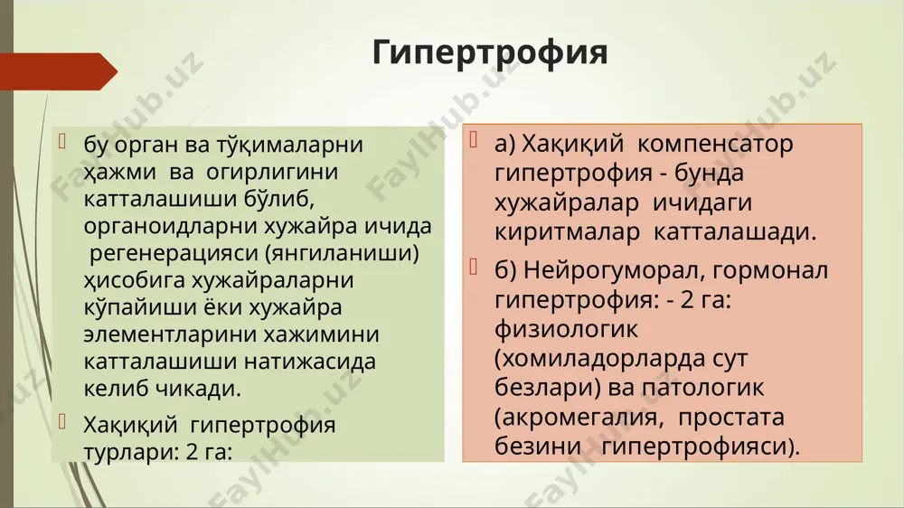 члари 1.трансформация босқичи : - мутацион - эпигеном йўллар 2. промация - фаоллашиш босқичи. 3. прогрессия босқичи. бу ўсмага хос хусусиятларни кучайиши. прогрессия омиллари: - канцерогенезга кўп хужайралар учрайди. улар ичидан биттаси танланади; - канцероген омилни таъсир этишини давомий; - ўсма хужайраларини тўсатдан мутацияга учраши яна ҳам ёмондир; - суперинфекция бўлса ўсма хужайралари янги хоссаларга эга бўлади. натижада ўсмаларни ўсиши янада тезлашади. химиотерапия вақтида дори моддаларга чидамли хужайралар танланиб жараённи огирлаштиради. ўсма жараёни ҳужайра геномининг касаллигидир деган назария хакидаги тасаввурлар 1. мутация жараёни назарияси (к.бовери). 2. эпигеном назарияси (к.гейдельберг, ю.м.оленев, л.б.саля­мов)---нормал ҳужайранинг ўсма ҳужайрасига айланиши мутация натижасида эмас, балки ҳужайра кўпайишини тормозловчи генларнинг репрессиялари ва ҳужайра кўпайишини рабатлантирувчи генлар депрессиясига кўра юз беради деб ҳисобланади. 3. вирус-генетик назария (л.а.зильбер ва бошқ.) бўйича --вирус днкси ҳужайра геномига кириб олиб ҳужайрада ўсма трансформациясини чақиради. 4. эндоген вируслар назарияси (р.хьюбнер, г.тодаро)га кўра --вирус генлари (онкогенлар) одам ва ҳайвонларнинг ҳужайра геноми таркибида доимо мавжуд, …