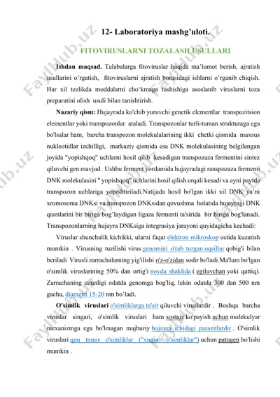 fitoviruslarni tozalash usullari — DOCX