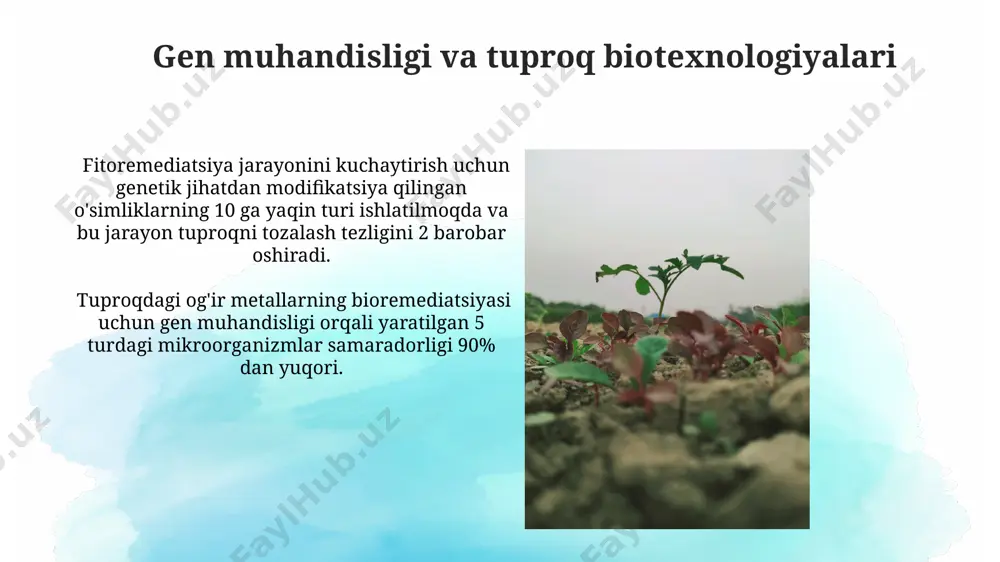 tuproq biotexnalogiyasi - Page 5