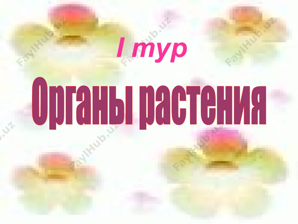 м созревании они становятся грубыми и невкусными, поэтому в пищу их используют немного недозревшими. эти плоды активно используются в кулинарии многих стран мира. их варят, жарят, запекают, тушат, готовят на гриле, маринуют, используют для приготовления салатов и икры, а также едят сырыми. перезревшие плоды не рекомендуется употреблять в пищу, так как в них содержится много соланина. баклажан 1 категория: по плоду угадай растение 30б у нас плоды этого растения подают на десерт, англичане едят его во время завтрака, в сша с него нередко начинают обед, а на ближнем востоке их подают к мясу и рыбе. арабы утверждают , что плод этот – плод райских садов и доставил его на землю один из жителей рая, совершив этим страшное преступление перед богом. трещины на поверхности плода считают священными письменами, начертанными самим аллахом. поэтому плод этот считают даром небес. что это за плод? дыня 2 категория пришельцы - постояльцы. родина этого растения – …