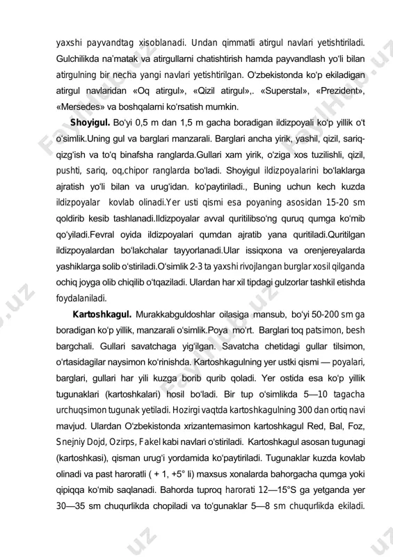 atirgul. atirgul gulchilikda qadimdan foydalanilgan o‘sim-liklardan biri. atirgulning 10 mingdan ortiq turi mavjud. oddiy atirgul buta bo‘lib, juda ham o‘z- garuvchandir. uning tuplari uncha zich emas, yoysimon shoxchalarga ega, bo‘yi 150—300 sm. barglari murakkab patsimon, yaltiroq. gullari yakka yoki 3—4 tadan; to‘p bo‘ladi. gultojbarglari oq, och pushtiranglarda. u mayoyidan boshlab gullaydi. atirgullar payvandlash yo‘li bilan ko‘paytiriladi. oddiy atirgul, eng yaxshi payvandtag xisoblanadi. undan qimmatli atirgul navlari yetishtiriladi. gulchilikda na’matak va atirgullarni chatishtirish hamda payvandlash yo‘li bilan atirgulning bir necha yangi navlari yetishtirilgan. o‘zbekistonda ko‘p ekiladigan atirgul navlaridan «oq atirgul», «qizil atirgul»,. «superstal», «prezident», «mersedes» va boshqalarni ko‘rsatish mumkin. shoyigul. bo‘yi 0,5 m dan 1,5 m gacha boradigan ildizpoyali ko‘p yillik o‘t o‘simlik.uning gul va barglari manzarali. barglari ancha yirik, yashil, qizil, sariq- qizg‘ish va to‘q binafsha ranglarda.gullari xam yirik, o‘ziga xos tuzilishli, qizil, pushti, sariq, oq,chipor ranglarda bo‘ladi. shoyigul ildizpoyalarini bo‘laklarga ajratish yo‘li bilan va urug‘idan. ko‘paytiriladi., buning uchun kech …
