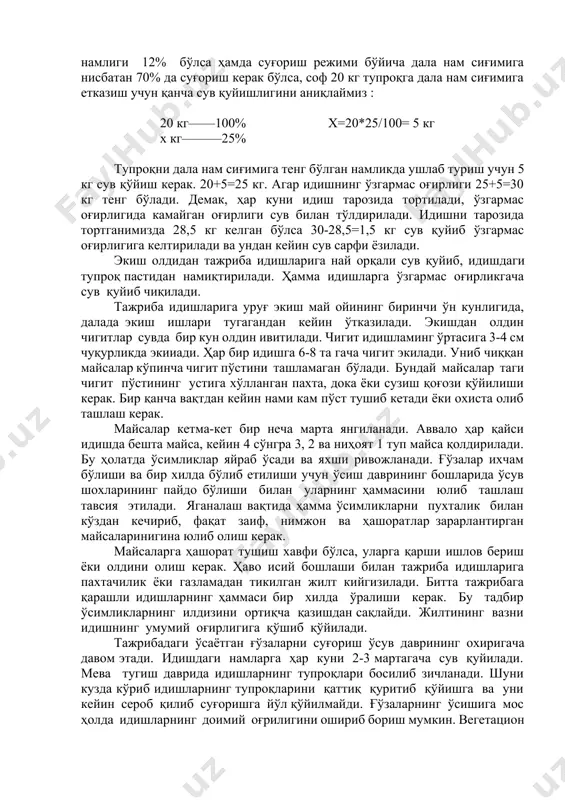 орати ко„тарилиб кетганда ҳар куни 2 маротабадан суғорилиши керак. ҳар бир идишга берилиши керак бўлган сувнинг миқдорини билиш учун тупроқ тўлдирилган тажриба идишнинг тўдиқ дала нам сиғимидаги намлик билан бирга ўзгармас оғирлигини ҳам билиш керак. идишнинг ўзгармас оғирлигигп идишнинг дренаж, идиш ва дала сиғимидаги намликдаги тупроқнинг оғирлиги киради. масалан, тупроқнинг дала нам сиғими 25% га тенг бўлганда, суғоришдан олдинги тупроқ намлиги 12% бўлса ҳамда суғориш режими бўйича дала нам сиғимига нисбатан 70% да суғориш керак бўлса, соф 20 кг тупроқга дала нам сиғимига етказиш учун қанча сув қуйишлигини аниқлаймиз : 20 кг––––100% х кг––––––25% х=20*25/100= 5 кг тупроқни дала нам сиғимига тенг бўлган намликда ушлаб туриш учун 5 кг сув қўйиш керак. 20+5=25 кг. агар идишнинг ўзгармас оғирлиги 25+5=30 кг тенг бўлади. демак, ҳар куни идиш тарозида тортилади, ўзгармас оғирлигида камайган оғирлиги сув билан тўлдирилади. идишни тарозида тортганимизда 28,5 кг келган бўлса 30-28,5=1,5 кг сув қуйиб ўзгармас оғирлигига келтирилади ва …