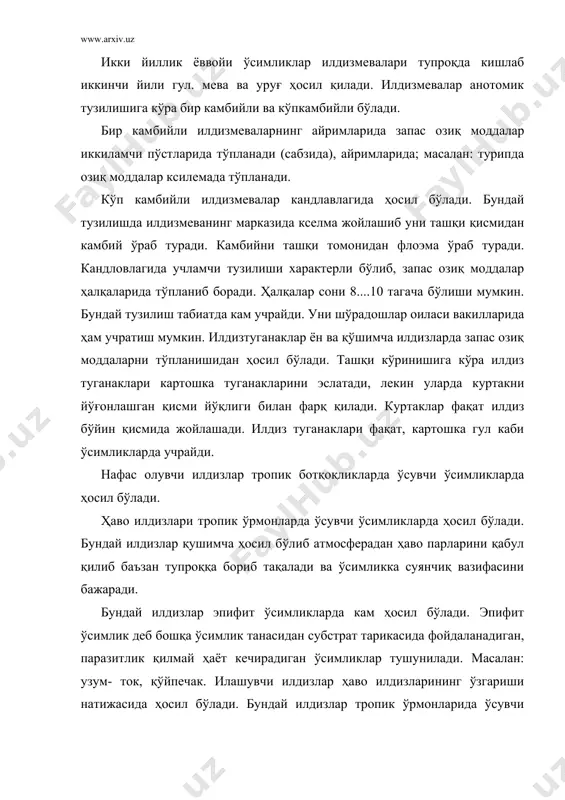 вегетатив аъзолар. илдиз ва унинг вазифаси - Page 4