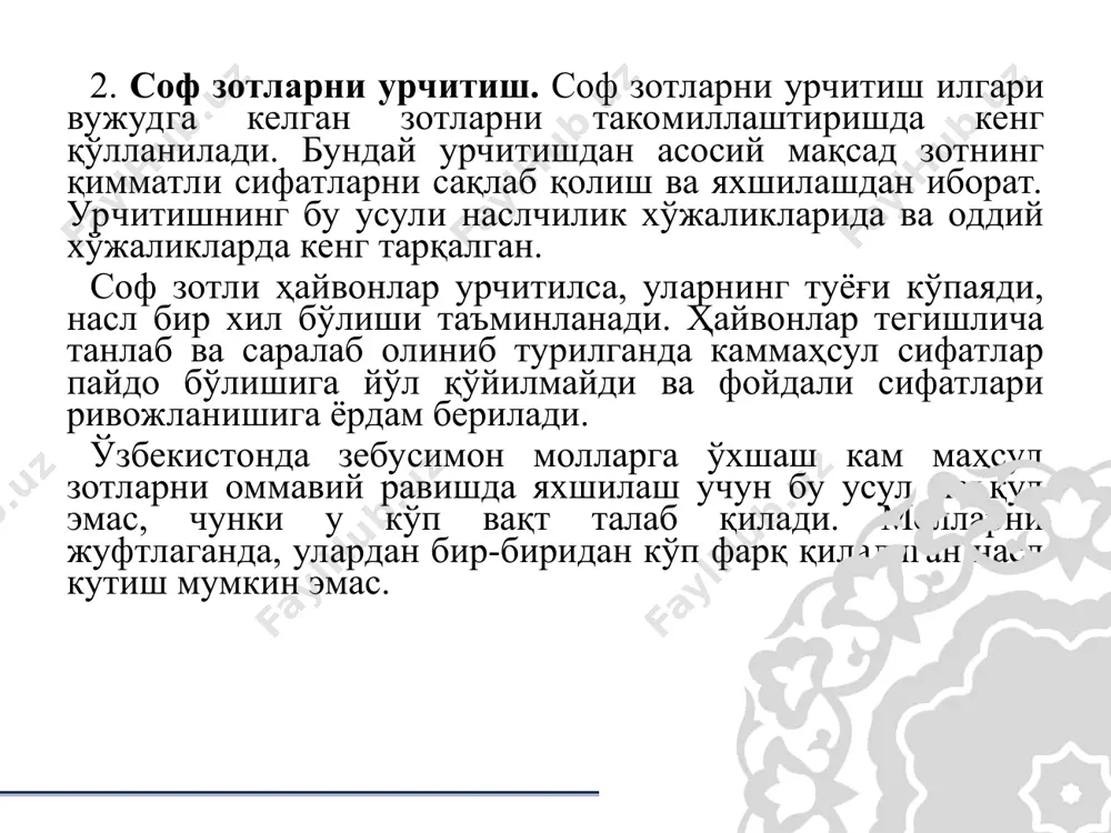 плаб хўжаликларнинг подалари “олтин фонд” хисобланади. банкир ат534.000.216. тизими: зоти голштино-фриз, туғилган жойи, австрия 23.07.2008 ёши: 2 ёш 8 ой тирик вазни 820 кг ўлчамлари: балл: синфи: элита рекорд. он: мове ат 715.878.242., 6 л-12235, 3,87 синфи элита рекорд от: вамвам са10.793.761 синфи элита рекорд онон:милена ат 534.604.442 2 л 9468, 3.58 синфи элита отон: тфине вч86 са 6.860.888, 1 л-12096 , 4.89 синфи элита онот: амор ат 531.151.941.: синфи элита отот: игнитер са 6.466.625 элита рекорд дизонек pl005142575751 тизими: полъша кизили зоти, туғилган жойи польша краснем 52- 36-007 краснеда 14.05.2008. ёши: 2 ёш 1 ой тирик вазни 640 кг ўлчамлари: балл: синфи: элита рекорд. он: варта 5734, 4л-6858, 4.40 синфи элита рекорд от: димон 0835 синфи элита рекорд онон: витка 2700, 5л -5793- 4.88 синфи элита отон: сзпарас 8662, 3л 4981, 4.53 синфи элита онот: собек 5819 : синфи элита отот: пагарт 6939. элита рекорд граф 13 тизими: зоти …