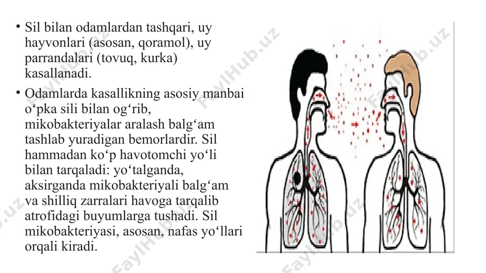 erida tugunlar paydo bo'ladigan moxov turi - lepromalar. vaqt o'tishi bilan bu shakllanishlar katta burmalarga aylanadi va shu bilan bemorning terisida "sherning yuzi" ni hosil qiladi. bemorning ahvoliga e'tibor berilmaganda, moxov bilan kasallangan hududlarda to'qimalarning o'limi va natijada mushaklar atrofiyasi boshlanadi. ushbu natija bilan barmoqlarning falanjlari moxovda tushadi, burunning shakli, aurikullar o'zgaradi, ko'zlar ko'r bo'ladi - havo bilan sovutilgan tananing to'qimalari ta'sirlanadi. ushbu turdagi moxov eng og'ir va kasal odamning nogironligiga olib kelishi mumkin. tuberkuloid - periferik asab tizimi asosan ta'sirlanadigan moxov turi. kasallikning bu turi o'rtasidagi farq tanadagi katta shakllanishlarning yo'qligi: moxov bilan kasallangan terining joylari sezgir emas, assimetrik tarzda joylashtirilgan va qizil-jigarrang rangga bo'yalgan. tuberkuloid moxov teridan tashqari limfa tugunlari va periferik nervlarni ham ta'sir qiladi. ushbu turdagi kasallikning kechishi infektsiyalangan odamlar tomonidan osonroq toqat qiladi. farqlanmagan odamlar tomonidan eng oson toqat qilinadigan moxov turi. periferik asab tizimi va teri ta'sirlanadi, kasallik ko'rish organlariga tarqalmaydi. bemorning terisida bir …