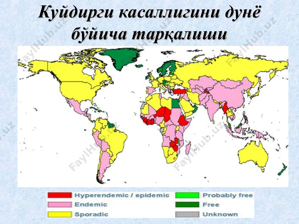 ли касалликнинг ўпка шакли жуда оғир ўтади ва ўлим билан тугайди. хасталик тез бошланади, беморда шамоллаш белгилари, кўкрак қисмида ўткир оғриқ пайдо бўлади, нафас олиши қийинлашади, қон босими пасаяди. юрак уриши тезлашади, балғамда қон пайдо бўлади. хасталик 2-3 кун давом этиши мумкин. клиникаси (давоми) ичак шакли куйдиргининг ичак шакли умумий заҳарланиш, тана ҳароратининг кўтарилиши, қоринда ўткир оғриқ пайдо бўлиши, кўнгил айниши, қон аралаш қусиш ва ич кетиши билан характерланади. беморнинг аҳволи тезда оғирлашади ва касаллик ўлим билан тугайди. клиникаси (давоми) оғиз-халқум шакли оғиз-халқумни ярали-некротик зарарланиши бўйиндаги яққол шиш, кўпинча бир тарафли ташхисоти куйдирги касаллигининг клиник аломатлари, бемордан олинган эпидемиологик анамнез ва лаборатория текширувлари натижаларига асосланган ҳолда қўйилади. куйдиргида бемордан олинадиган намуналар: тери шакли ўпка шакли ичак шакли оғиз-халқум шакли менингеал шакли пуфакчалар ичи, яра туби ёки қора қўтир четидан суртма, пункцион биопсия балғам (томоқдан суртма), қон, плеврал суюқлик ахлат, қусуқ, қон, асцитик суюқлик қон, томоқдан суртма, балғам орқа мия суюқлиги, …