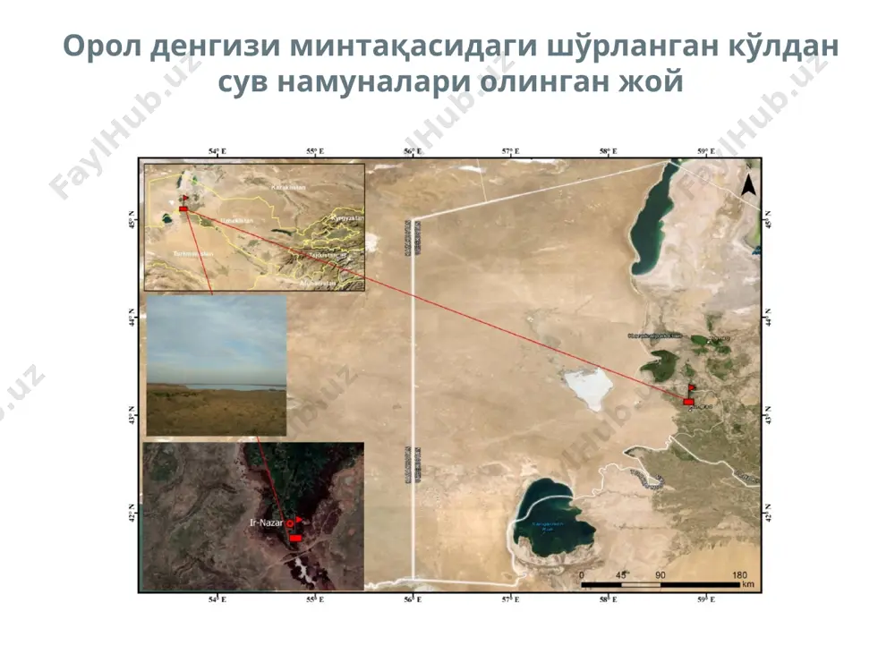 полисахаридлар ишлаб чиқариш мақсадида бактерияларни ўстириш усули - Page 4