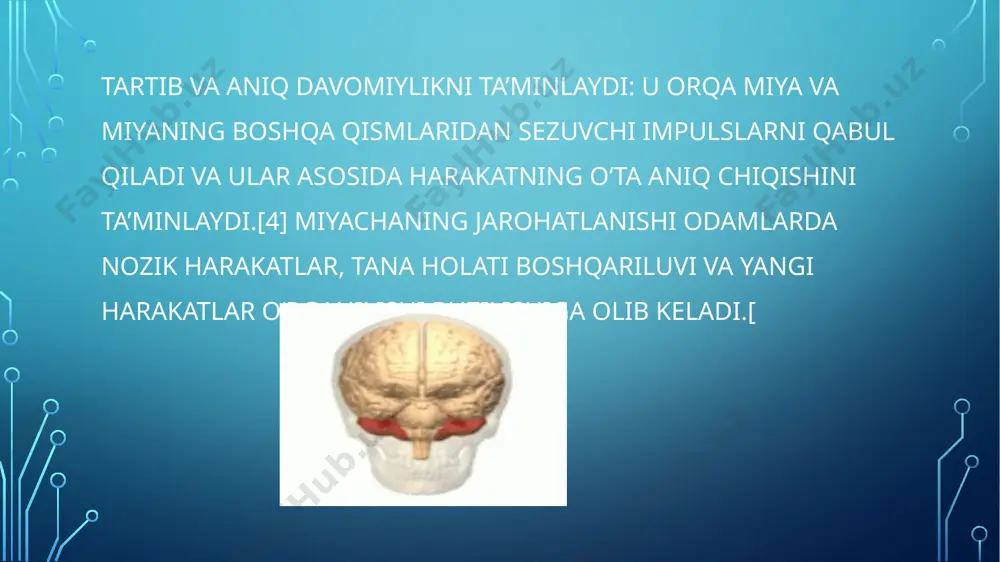 adro hujayralari bilan 1000 atrofida bogʻlanishlar (hammasi bilan kichik domenlarda) hosil qiladi. purkinye hujayralari neyromediator sifatida gamkni ishlatadi va shuning uchun nishonlariga ingibirlovchi ta’sir koʻrsatadi purkinye hujayralari miyacha yoʻllarining yuragini tashkil qiladi. ular oʻlchamining kattaligi va oʻziga xos faoliyati tufayli hayvonlarda ekstrasellulyar yozib olib usullari bilan oʻrganishda qulayliklar yaratadi. purkinye hujayralari normada hech qanday sinaptik impuls kelmasa ham katta chastotada harakat potensiallari tarqatib turadi. uygʻoq hayvonlarda taxminan 40 hz atrofida. harakat potensiallarining chizmalari oddiy va murakkab spayk (ingl. spike)lar aralashmasidan iboratligini koʻrsatadi. oddiy spayk bitta harakat potensiali va undan keyin kelgan taxminan 10 ms davom etuvchi refraktorlik davridan iborat; murakkab spayk juda qisqa spayklararo intervallar va pasayib boruvchi amplitudali harakat potensiallarining bir xil zanjiridan iborat. fiziologik oʻrganishlar shuni koʻrsatadiki, murakkab spayklar (bazal (ing. baseline) chastotalari 1 hz atrofida va hech qachon 10 hzdan oshmaydi) koʻtariluvchi tolalar aktivlashishiga bogʻliq. oddiy spayklar boʻlsa bazal aktivlik va parallel tollalardan keluvchi impulslar kombinatsiyasidan hosil …