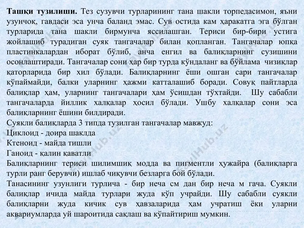 овоз тўлқинларини, ҳатто электр токини ҳам сезади. ён чизиқлар эшитиш (лабиринт) органи билан миянинг орқа қисми мияча билан бириккан бўлиб мувозанат ушлашда иштирок этади. лабирант - эшитиш нерв ганглийси (тармоғи) бўлиб шилимшиқ билан қопланган. шу лимфа ичида ҳар томонда учтадан тошга сузиб юради. улар товушларни анализ қилади. кўриш органлари. балиқлар ҳам бошқа умуртқали ҳайвонлар каби кўзга эга. лекин кўз тузилиши билан фарқ қилади. балиқ кўзи элипссимон бўлиб, кўз пиёзи яполоқроқ, соққаси шарсимон бўлади. кўзининг катта-кичиклиги ўзгариб туради. кўриш доираси бир неча сантиметридан ўнлаб метрларни ташкил этади, улар рангларни фарқлайдилар. бу хусусиятлардан шартли рефлекс ҳосил қилишда фойдаланилади. таъм билиш органи. балиқларда таъмни оғиз бўшлиғи, лаби, мўйловлари, жабра япроқлари, сузгич қанот нурлари дум сузгич қаноти ва бутун танаси ёрдамида билади. ҳид билиш органи иккита бурун тешиги бўлиб, сув кириб чиқишда сувдаги эриган ҳид рецепторини уйғотади ва балиқ бу ҳидга жавоб беради. сузгич пуфаги кўпчилик суякли балиқларга хос орган бўлиб, у асосан гидростатик …