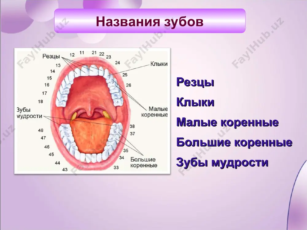 белые зайчики - Page 4