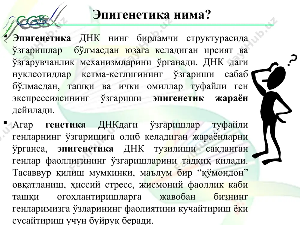 ининг қўшилиш жараёнидир. табиий жараён cрg оролчаларида содир бўлади реакцияни метил-трансфераза катализлайди. деметил-трансфераза антогонистик ферменти томонидан бекор қилинади ўсимликларда cрg бўлмаган cрн (а,т, c) метилланиш ҳам содир бўлади; катта ёшдаги организмларда метилланиш цитозиннинг гуанинга туташ 5-углерод позицияларида содир бўлади; эмбрионнинг ўзак ҳужайраларида метилланиш cрg дан ташқарида амалга ошади; днк даги 5-метил-цитозинлар сони организмлар ҳаётининг турли даврларида, яъни эмбрионал даврдан қариликкача ўзгариб туради. arial arial днк метилланиш босқичлари метилтрансфераза ферменти ёрдамида метил группанинг цитозин нуклеотидининг 51-углеродига боғланиши; геннинг промотор зонасида метилланиш шу генни супрессияга (фаолиятини тўхтатишига) олиб келади; метилланган цитозин кейинчалик махсус фермент ёрдамида деметилланиб, одатдаги цитозинга айланиши мумкин. демак, метил группа днк молекуласининг қайси жойидаги цитозинга бирикса ўша ген ўз хусусиятини ўзгартиради. днк метилланиши ген экспрессиясини бошқаришнинг асосий усули бўлиб, шунга кўра, транскрипция блокининг иккита асосий механизми мавжуд: 1-механизм 5-метилцитозиннинг транскрипция баъзи омилларининг днк билан боғланишини ингибирлаши ҳисобланиб, бунинг учун cpg нуклеотидларини ўз ичига олган кетма-кетликлар объект бўлиб хизмат қилади. …