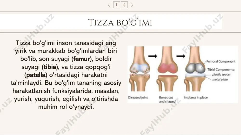tizza bo'g'imi va oyoqning erkin suyaklari birlashuvi - Page 4