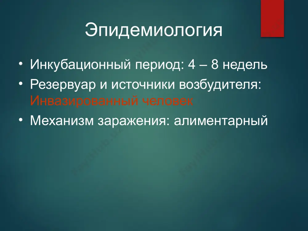 аскаридоз - Page 4