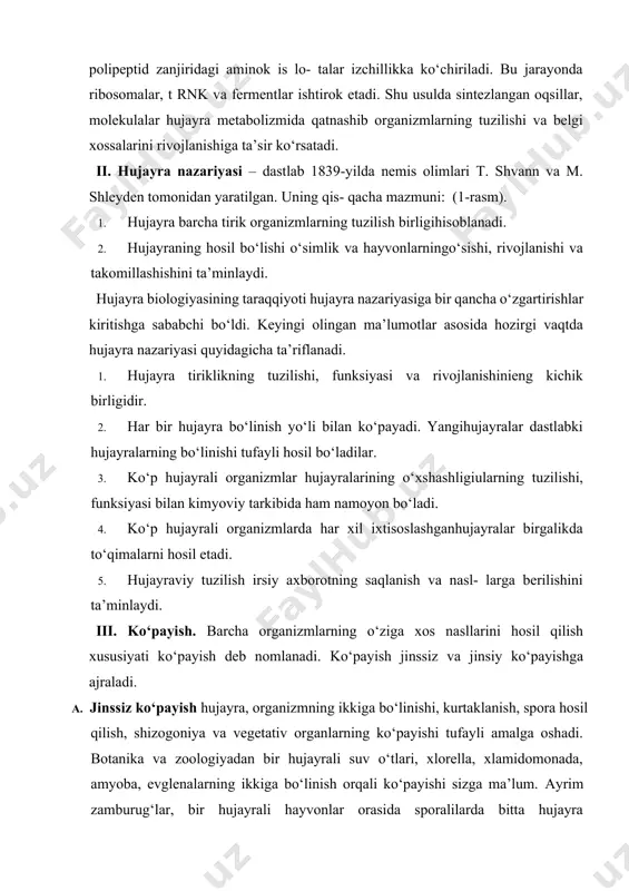 ayraning mitotik sikli interfaza va mitozdan iborat. hujayraning bir mitozdan ikkinchi mitozga bo‘lgan rivojlanish bosqichi interfaza deyiladi. interfaza go‘yo hujayraning tinim holatidek ko‘rinsa-da, aslida unda juda katta hayotiy jarayonlar ro‘y beradi. birinchidan hujayra o‘sib kattalashadi. ikkinchidan unda oqsillar, uglevodlar, yog‘lar zaxirasi to‘planadi, fermentlar faolligi ortadi. rnklar hosil bo‘ladi. uchinchidan dnk molekulasi ikki hissa ko‘payadi. interfaza bosqichidan so‘ng, mitoz bo‘linish boshlanadi. u to‘rtta profaza, metafaza, anafaza, telofazadan tashkil topadi. profazada hujayra yadrosi kattalashadi. unda xromatidalar paydo bo‘lib spirallashadi. yadro qobig‘i parchalanib, xromatidalar sentromeralar orqali birlashgan bo‘ladi. sentriolalar 2-rasm. hayvonlar hujayra mitozi. bo‘linib hujayra qutblari tomon yo‘naladi. yadrochalar yo‘qolib ketadi. axromatin ipchalar shakllanadi. metafazada xromosomalar hujayra markaziga to‘planadilar. har bir xromosomaning sentromeri axromatin ipiga birikadi. anafazada xromatidalarni birlashtirib turuvchi sentrome- ralar bo‘linib, xromatidalar bir-biridan ajralib ketadi, qutblar tomon yo‘naladi. telofazada xromosomalar ikki qutbga to‘planib spirallari yoyi la boshlab ingichkalashib ketadi va ikkita yadro hosil bo‘ladi. sitoplazma ikkiga ajralib o‘rtasida plazmatik membrana shakllanadi …