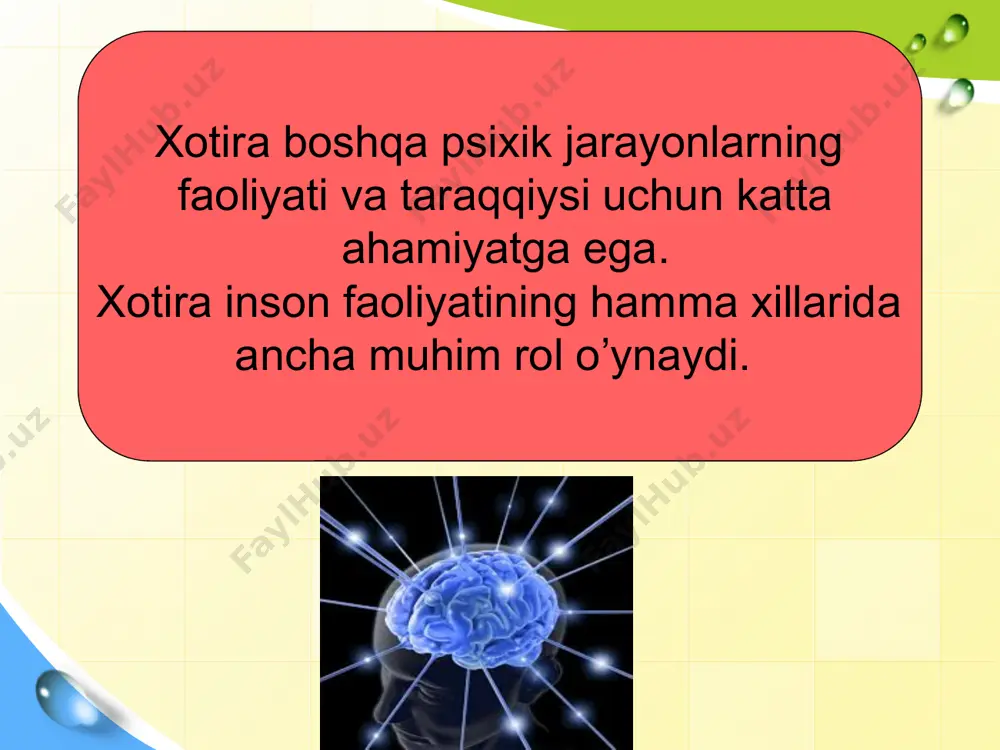 xotira turlari va uning jarayonlari - Page 4