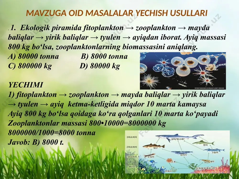 ofitlar o‘t o‘simliklar, qisman butalar, efemerlar ko‘p uchraydi. hayvonlardan xilmaxil kemiruvchilar (tovushqonlar, yumronqoziqlar); tuyoqli hayvonlar (qulon, jayron, antilopa), yirtqichlar (bo‘ri va sahro tulkisi), ko‘plab sudralib yuruvchilar, o‘rgimchaksimonlar , hasharotlar uchraydi. ulardan ko‘pchiligi tunda faol bo‘ladi. cho`llarning ma`lum qismi o`zlashtirilgan . tropik o‘rmonlar turlar soni ko‘pligi bilan ajralib turadi. bu o‘rmonlarni harorat va yillik yog‘in miqdori yuqori darajada bo‘lgan, o‘simliklarning o‘sishi va rivojlanishi uchun barcha sharoit yetarli bo‘lgan hududlarda (janubiy amerika shimoli, markaziy amerika, shimoliy afrika, hind va tinch okeanidagi orollar) uchratish mumkin. o‘rtacha yillik yog‘in miqdori 2000–2500 mm. o‘simlik turlari ham juda ko‘p. daraxtlar yarus bo‘ylab zich joylashgan. ildizlari tuproqqa yetib bormaydigan, daraxtlarda o‘sadigan epifitlar, ildizi tuproqlarda bo‘lib, o‘zi daraxtlarga chirmashib to ularning eng yuqori qismlariga yetib boruvchi lianalar ko‘p uchraydi. . tropik o‘rmonlar hayvon turlariga boy bo‘lib, sutemizivchilar (maymunlar, yalqovlar), qushlar (to‘ti, kolibri), sudralib yuruvchilar, suvda hamda quruqlikda yashovchilar va hasharotlarni ko‘plab uchratish mumkin. tropik o‘rmonlar hayvon turlariga boy …