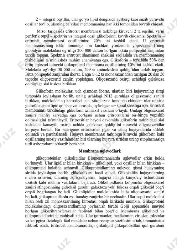larni uzatish kabi muhim vazifalarni bajaradi. glikolipidlarda ko‘pincha oligosaxarid zanjiri sfingozinning gidroksil guruhi, galaktoza yoki fukoza orqali glikozid bog‘i orqali bog‘langan bo‘ladi. glikolipidlar molekulasida bitta oligosaxarid zanjiri bo‘ladi, glikoproteidlarda esa bunday zanjirlar bir nechtadir. ular oqsil molekulasi bilan besh xil monosaxaridning birontasi orqali birikishi mumkin. glikoprotoid molekulasidagi oligosaxaridlarning joylashish tartibi golji apparatida mavjud bo‘lgan glikoziltransferazalar faoliyati bilan bog‘liq. membrana glikolipid va glikoproteidlarining mohiyati katta. ular gormonlar, mediatorlar, viruslar, toksinlar va ko‘pgina fiziologik faol moddalar uchun retseptor vazifasini o‘tab, immunitetda ishtirok etadi. eritrotsit membranasidagi glikolipid glikoproteidlari qon guruhini belgilaydi. hujayra sirtining harakatchanligi ham uning tarkibidagi glikoproteinlar xususiyati bilan bog‘liq. membranalardagi lipid qo‘shqavat fosfolipidlar bilan glikolipidlar molekulalarining xarakterli xususiyati ularning amfifilligidir. molekulasining gidrofob uchini yog‘ kislotalari va sfingozinning uglevodorodli radikallari tashkil etadi: bu molekula uchi uzunligining 3\4 qismini tashkil etadi. glikolipidlar molekulasi gidrofil uchi uglevod qismidan, fosfolipidlarning gidrofil uchi xolin, etanolamin yoki serinni biriktirib olgan fosfat qoldig‘idan hosil bo‘ladi. tuzilishi va fizik-kimyoviy …