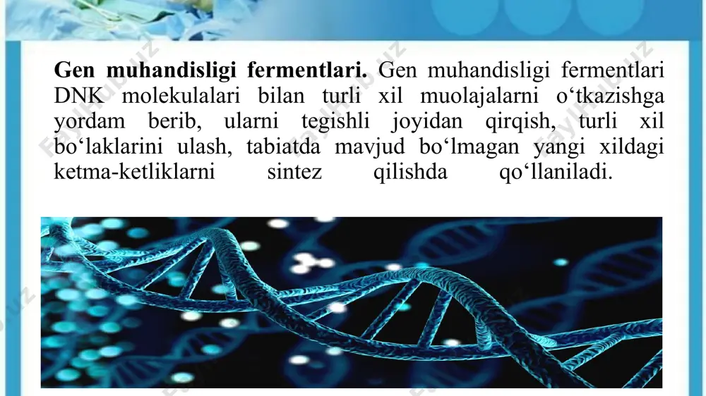 zlashda «achitqi» funksiyasini ba’zi t-rnklar bajaradi. genni sun’iy fermentativ sintezlash uchun yaratilgan bunday moddalar eritmasi teskari transkriptaza fermenti yordamida i-rnk andozasi yonida (komplementar) k-dnk molekulasi sintezlanadi. buning uchun avval unga komplementar polinukleotid zanjiri sintezlanadi. bundan so‘ng transkriptaza fermentining o‘zi sintezlangan polinukleotid zanjiriga parallel unga komplementar ikkinchi polinukleotid zanjirini sintezlaydi. genlar ustida bevosita muolajalar o‘tkazish usullarining takomillashtirilishi restriksion endonukleazalar (restriktazalar)ning ochilishi bilan bog‘liqdir. 1953 yildayoq e.colining alohida shtammi dnk si boshqa shtammi hujayrasi (masalan, v shtammi dnksi s shtammi hujayrasi) ga kiritilganda, odatda, genetik faollik ko‘rsata olmaydi. chunki u maxsus fermentlar-restriktazalar bilan tezda bo‘laklarga bo‘lib yuboriladi. hozirgi vaqtda turli xil mikroorganizmlardan mingdan ortiq har xil restriktazalar ajratib olingan. gen muhandisligida 200 dan ortiq turi keng qo‘llanilmoqda. restriktazalar restriktazalar endonukleazalarning dnkni muayyan maxsus ketma-ketliklari restriksiya saytlari (nuqtalari)ni hosil qilib gidroliz qiladigan guruhi hisoblanadi. har bir restriktaza o‘zining restriksiya saytini taniydi va dnkni restriksiya sayti izchilliklari ichidan yoki uning atrofidan boshlab qirqadi shunday …
