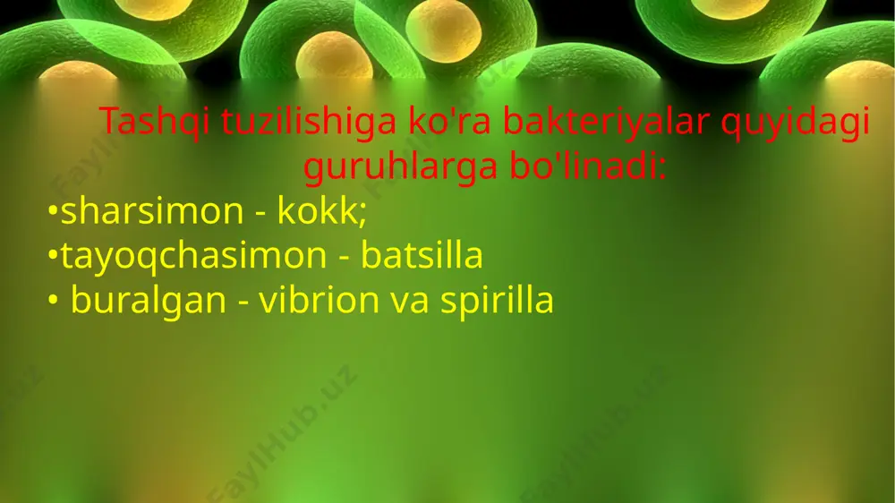 bakteriyalar dunyosi - Page 4