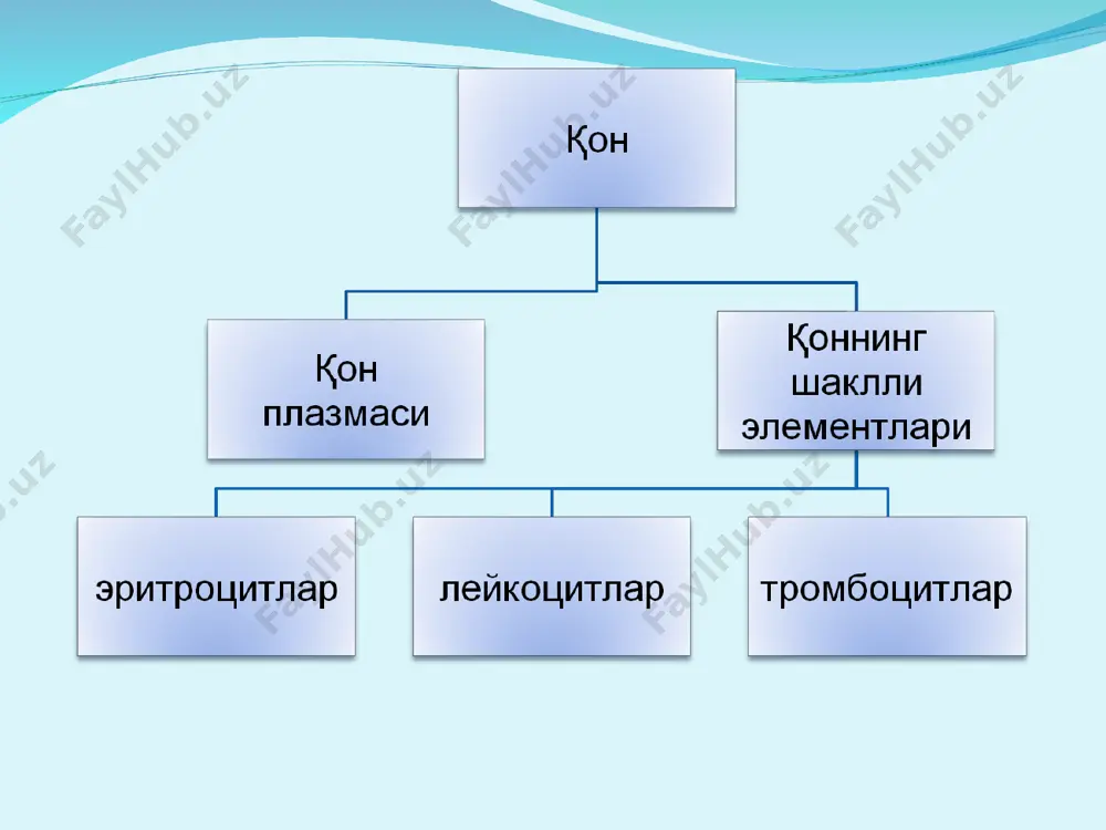 qon tizimining yoshga oid xususiyatlar - Page 5