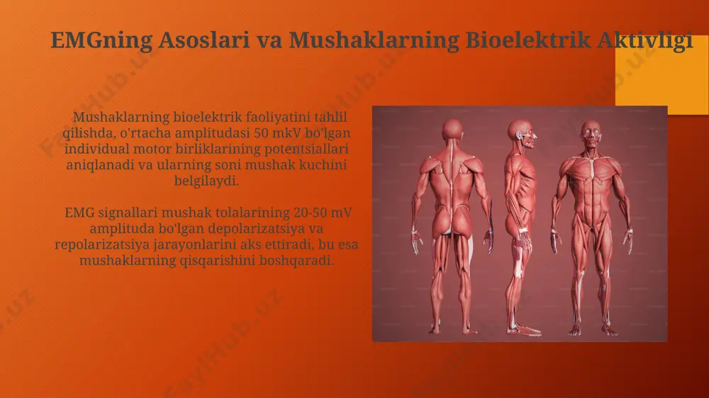 emg va mushaklarning bioelektirik faolligi - Page 5
