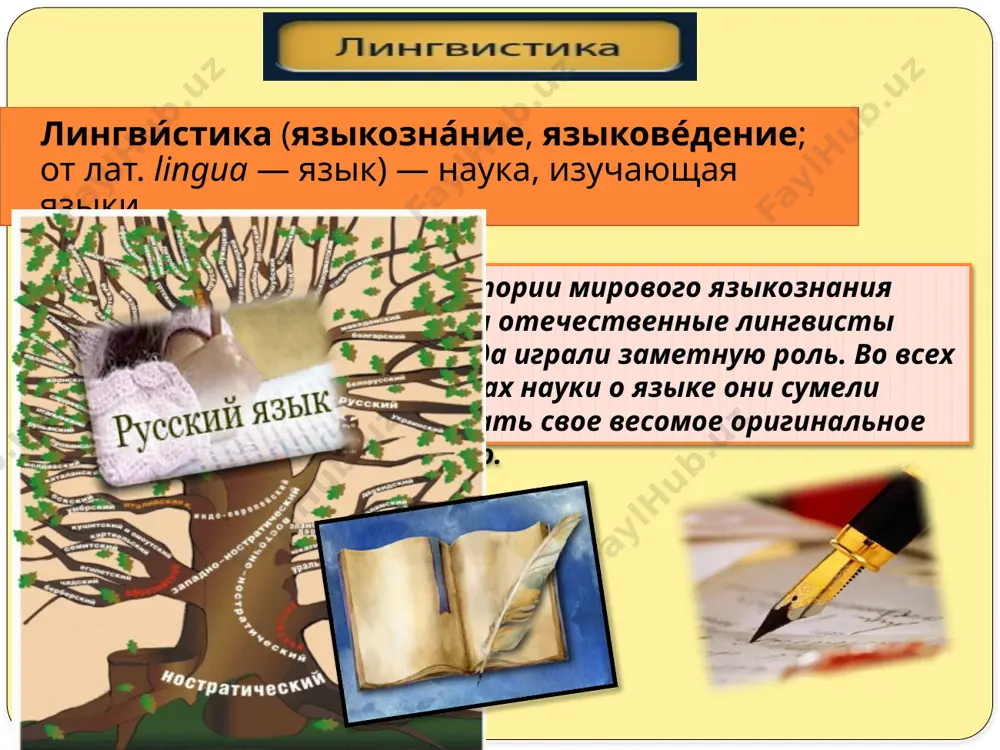 николаевич ушаков (1873-1942) дмитрий николаевич ушаков - русский лингвист. работал в области диалектологии, орфографии, орфоэпии, был главным редактором «толкового словаря русского языка».является автором «орфографического словаря»,которым и сегодня пользуются ученики. александр матвеевич пешковский (1878-1933) александр матвеевич пешковскийй -один из самых замечательных лингвистов xx века. он много лет работал в московских гимназиях и, желая познакомить своих учеников с настоящей, научной грамматикой, написал монографию « русский синтаксис в научном освещении» (1914),в которой как будто беседует со своими учениками. пешковский первым доказал, что интонация является грамматическим средством, что она помогает там, где другие грамматические средства (предлоги, союзы, окончания) не способны выразить значение. лев владимирович щерба (1880-1944) лев владимирович щерба-русский языковед, академик. работал в области фонетики, орфоэпии, лексикологии, лексикографии, грамматики, принимал участие в составлении свода правил орфографии и пунктуации. в течение многих лет под редакцией л.в.щербы выходил школьный учебник русского языка. виктор владимирович виноградов (1895-1969) виктор владимирович виноградов -русский филолог, академик, ученик а.а.шахматова и л.в.щербы. …