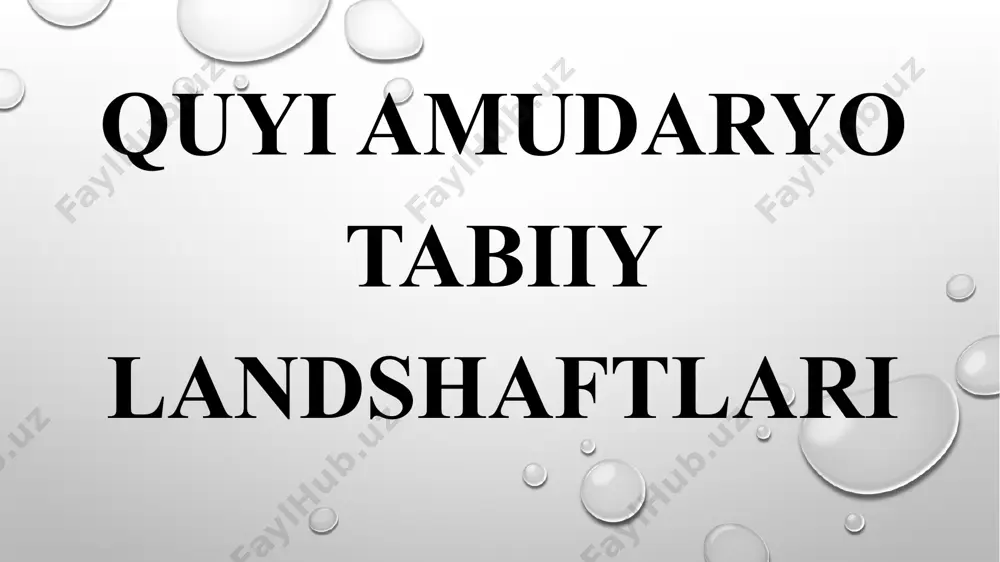 adi (140-150 km) va pasayib, mutlaq balandligi 60-95 m ga tushib qoladi. bu deltaning maydoni orol suv sathining pasayishi hisobiga kengayib bormoqda. quyi amudaryo yer yuzasi tekis bo‘lganligidan amudaryo tarmoqlanib, ilonizi bo‘lib oqib, bir nechta o‘zanlar hosil qilgan. eng muhim qadimiy o‘zanlari o‘ng qirg‘oqdan orol tomon yo‘nalganlari qora o‘zak, shertanboy, kindiksoy, qorako‘lsoy kiradi. chap qirg‘oqdan boshlanuvchi va sariqamish tomon yo‘nalgan eng qadimiy o‘zanlari esa ko‘hnadaryo, daryoliq, davdan hisoblanadi. ana shu qadimiy o‘zanlar orasida nisbiy balandliklari 60-80 m ga yetuvchi bir nechta tepalik va qoldiq tog‘lar joylashgan. ularning eng muhimlari quyonchiq, qoratov, jumirtov, barlitov va boshqalardir. foydalanilgan adabiyotlar ro’yxati 1. quyi amudaryo tabiiy geografik okrugi 2. https://www.wikipedia.org/ e’tiboringgiz uchun rahmat!!! image2.png image3.png image4.png image5.png image6.png image7.png image8.png image9.png image10.png image1.png /docprops/thumbnail.jpeg