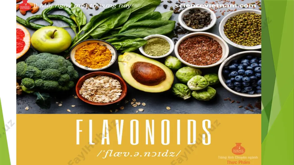 flavonidlar va ularni o’simliklardan ajratib olish texnologiyasi - Page 2