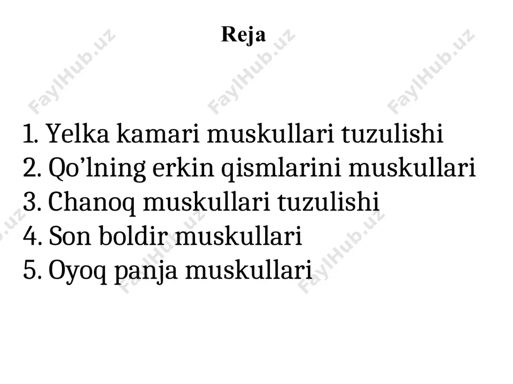 ridan, lateral boshi-y.suyagining orqa yuzasi lateral qismidan, medial boshi-y.suyagining orqa yuzasi medial qismidan boshlanib tirsak suyagining tirsak o’sig’i, tirsak bo’g’iming haltachasiga yopishadi y.suyagining pastki qismidagi lateral g’adr budr tepachasidan boshlanib, tirsak suyagining orqa yuzasiga yopishadi * bilak muskullari oldingi orqa lateral chuqr yuza chuqr yuza panjani yozuvchi uzun bilak muskuli yelka bilak m panjani yozuvchi kalta muskuli panjani yozuvchi panjani yozuvchi tirsak muskuli supinatsiya qiluvchi bosh barmoqni olib qochuvchi uzn m bosh barmoqni yozuvchi uzn va qisqa muskul yumaloq pronatal kaftni bilak tomonga bukuvchi kaftni uzun muskuli kaftni tirsak tomonga bukuvchi panjani bukuvchi yuza muskul bosh barmoqni bukuvchi uzun muskuli panjani bukuvchi chuqr muskul ko’rsatkich barmoqni yozuvchi m bilak muskullari oldingi yuza kaftni bilak tomonga bukuvchi kaftni uzun muskuli kaftni tirsak tomonga bukuvchi panjani bukuvchi yuza muskul yumaloq muskul yelka suyagidagi g’adr budr tepachadan va bilak suyagi ga’dr budiridan boshlanib, bilak suyagi lateral 2-kaft suyagi asosiga yopishadi yelka suyagining medial …