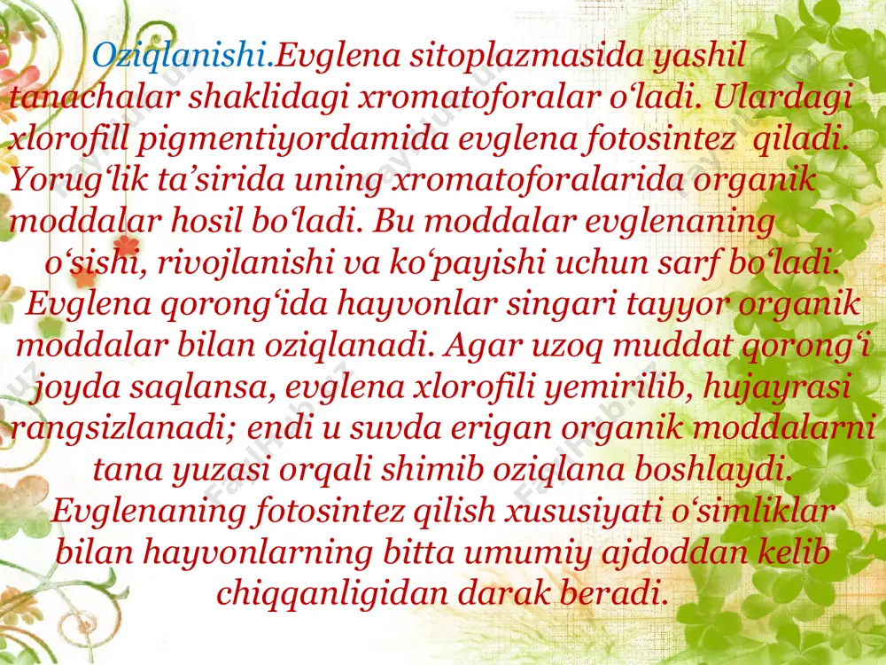 dars ishlanmasi "xivchinlilar sinfi" - Page 5
